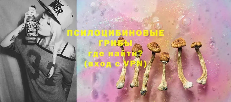 наркота  Когалым  Псилоцибиновые грибы Cubensis 